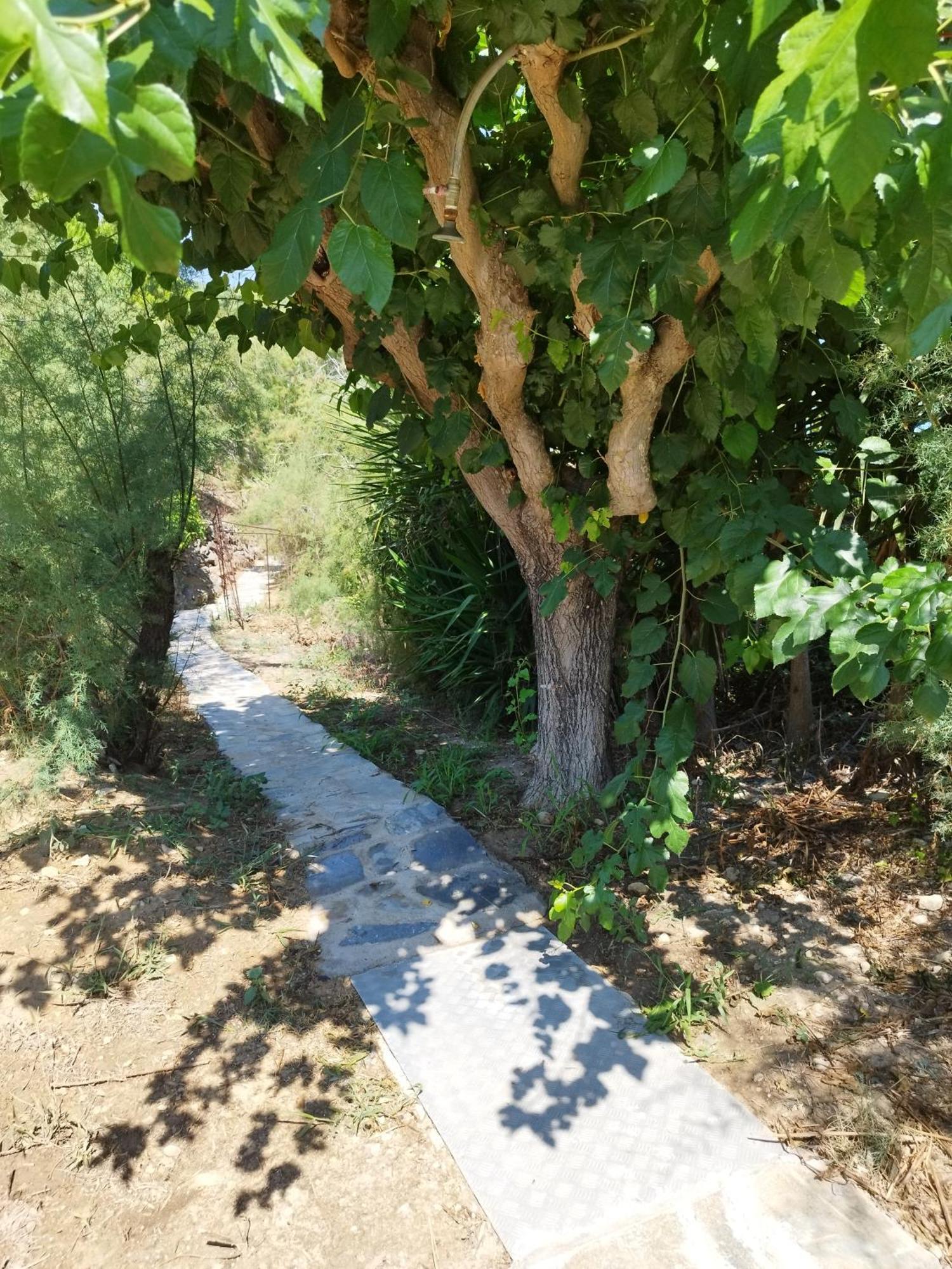 Villa Agia Aikaterini 아모우디 외부 사진